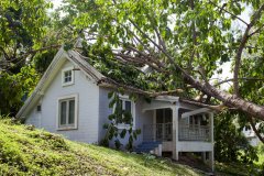 Emergency roof repair needed for a Enumclaw, WA, home after tree fell on roof